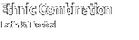 Ethnic Combination